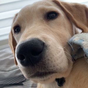 Meet your Posher, Fadi